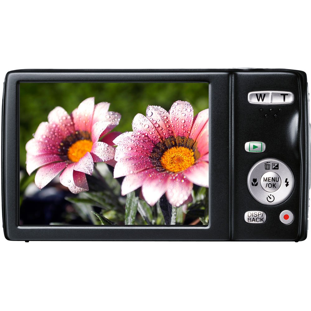 Amazon Canada: Fujifilm Finepix JZ250 Digital Camera (Black)